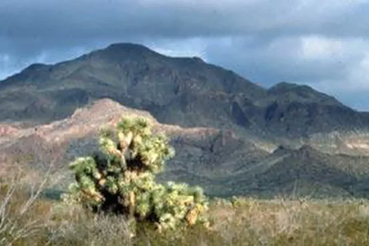 Park image