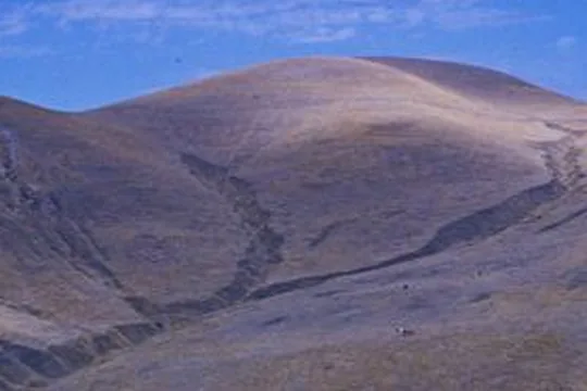 Park image