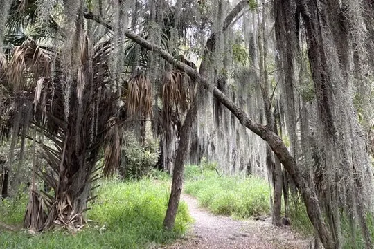 Park image