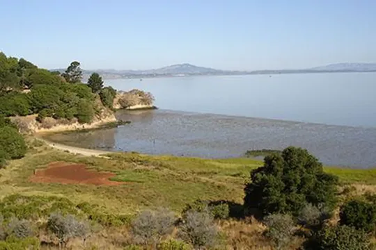 Park image