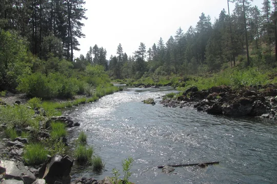 Park image