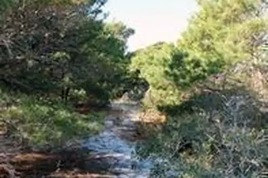 Park image