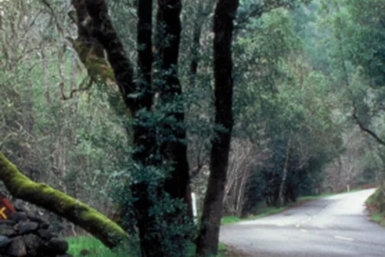 Park image