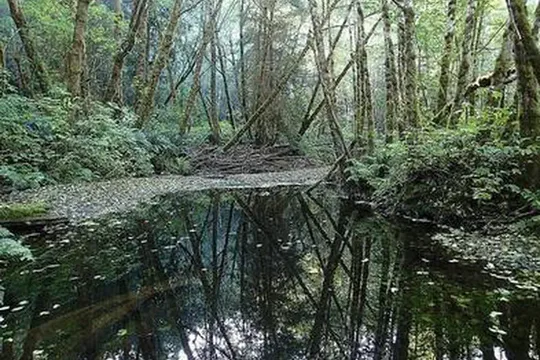 Park image