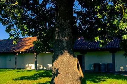 Park image