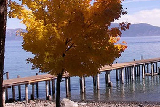 Park image
