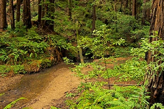 Park image