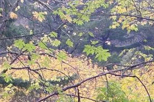 Park image