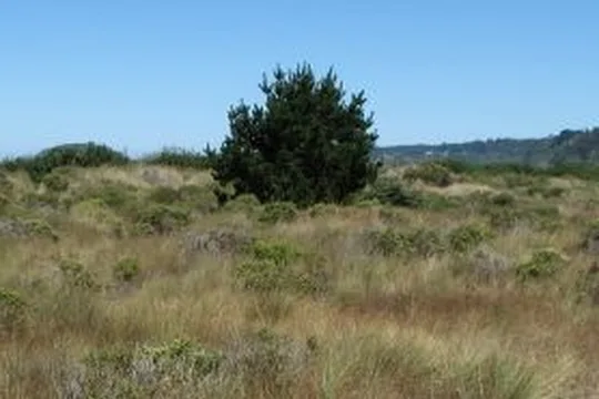 Park image