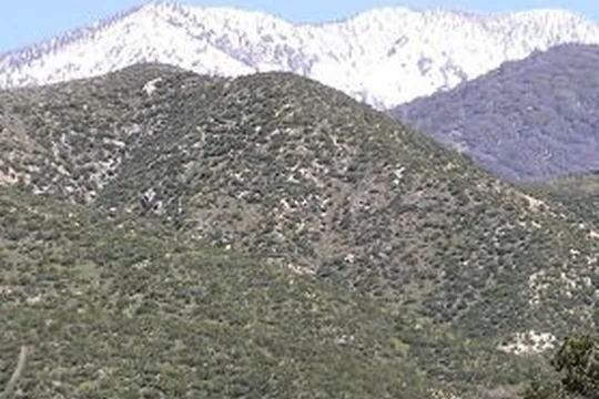 Park image