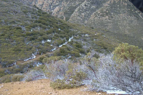Park image