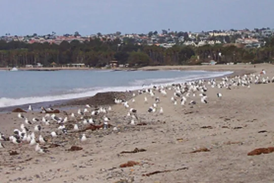 Park image