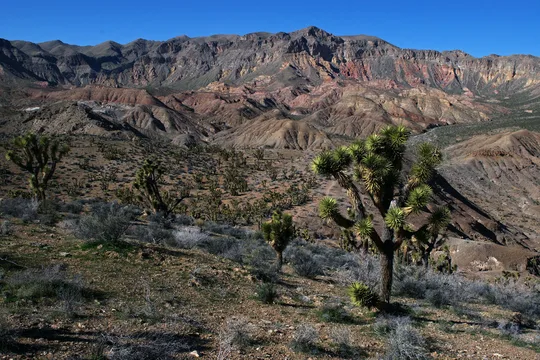 Park image