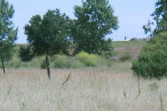 Park image