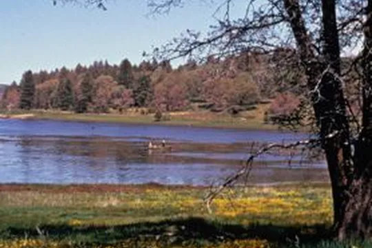 Park image
