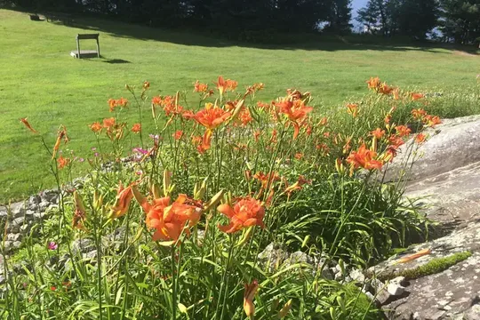 Park image