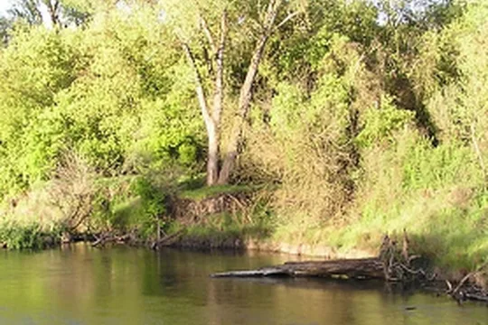 Park image