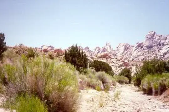 Park image