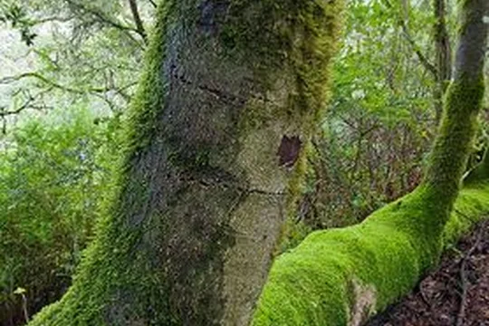 Park image