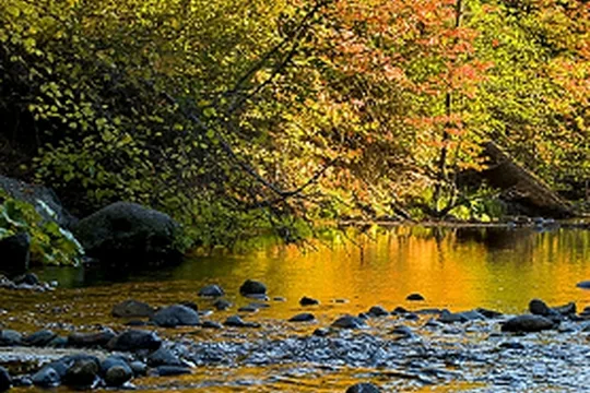 Park image