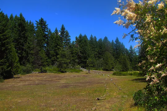 Park image