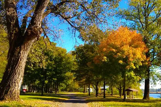 Park image