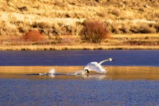 Park image