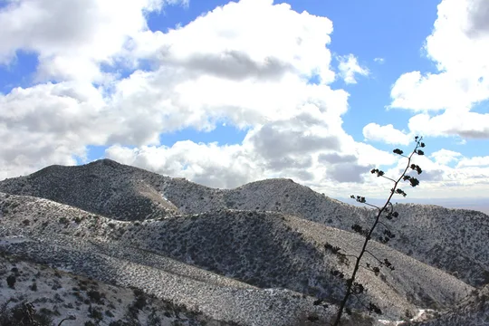 Park image