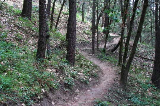 Park image