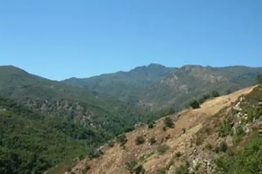 Park image