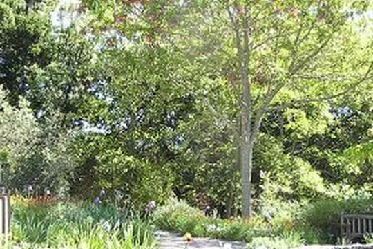 Park image
