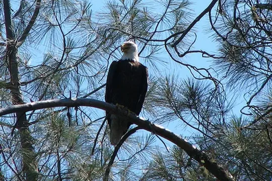 Park image