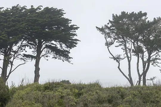 Park image