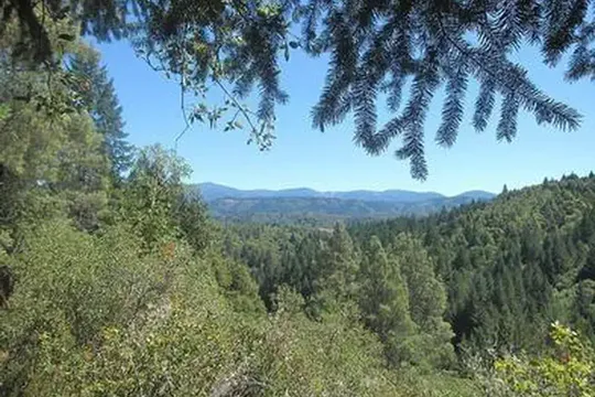 Park image