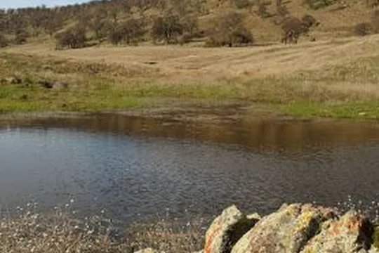 Park image