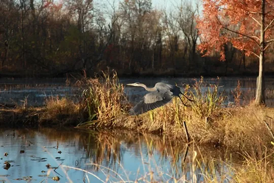 Park image