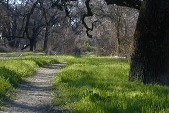 Park image