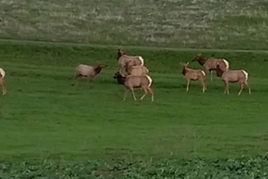 Park image
