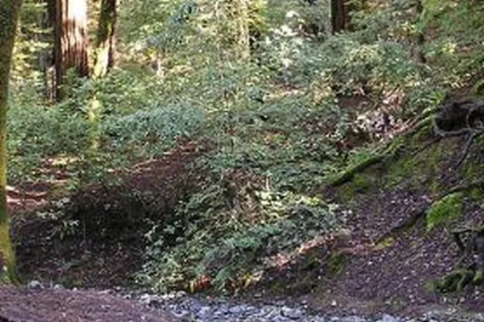 Park image