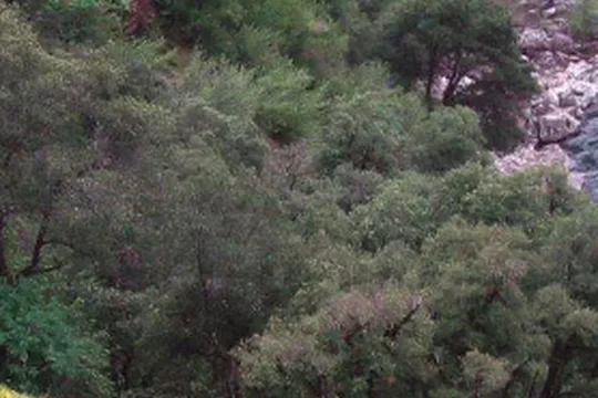 Park image