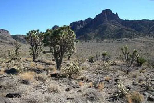 Park image