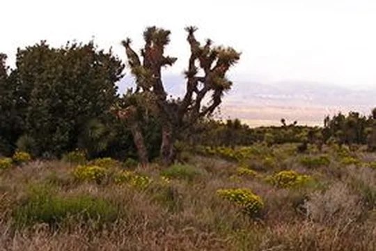 Park image