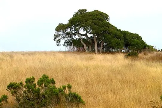 Park image