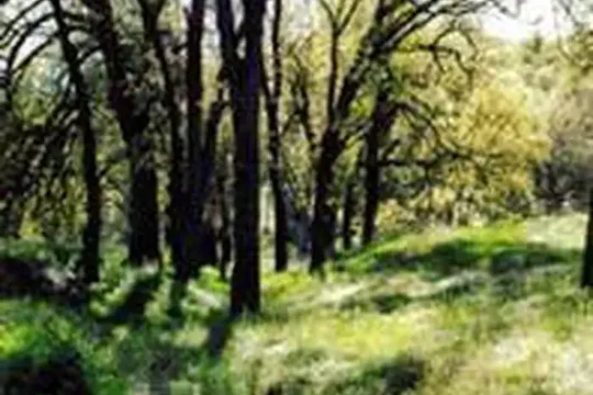 Park image