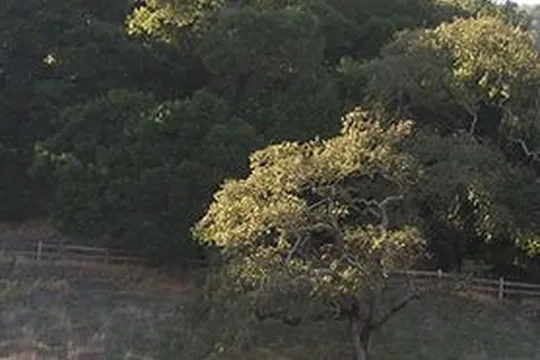 Park image