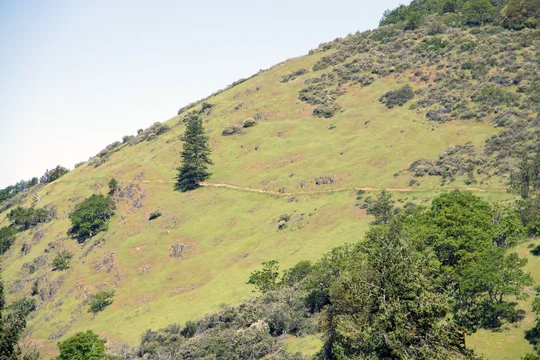 Park image