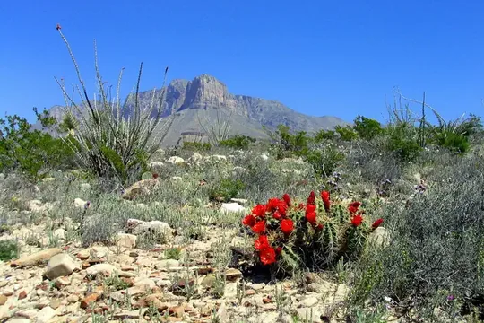 Park image