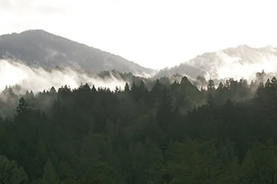 Park image