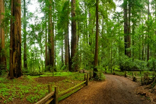 Park image