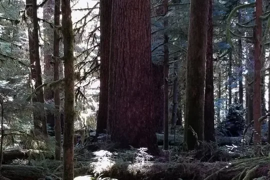 Park image